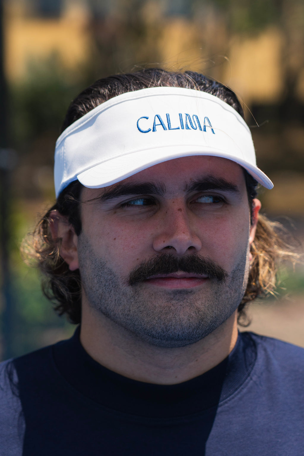 Visor