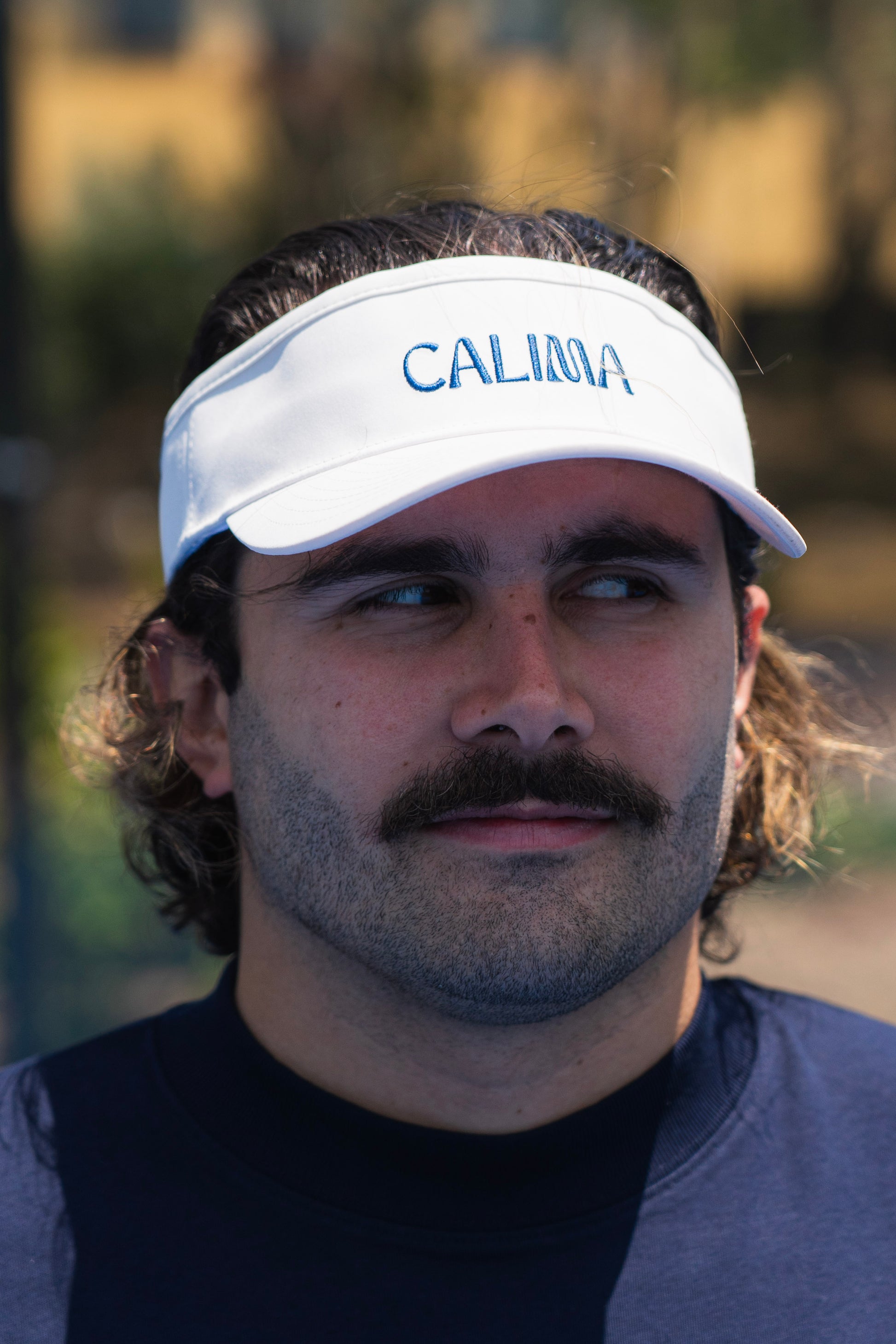 Visor