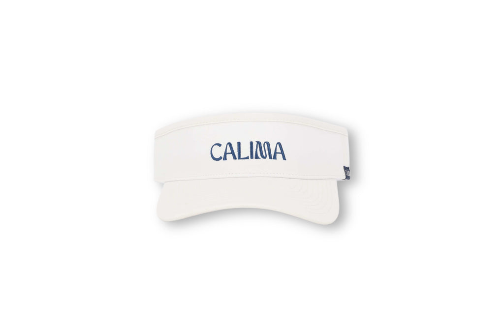 Visor